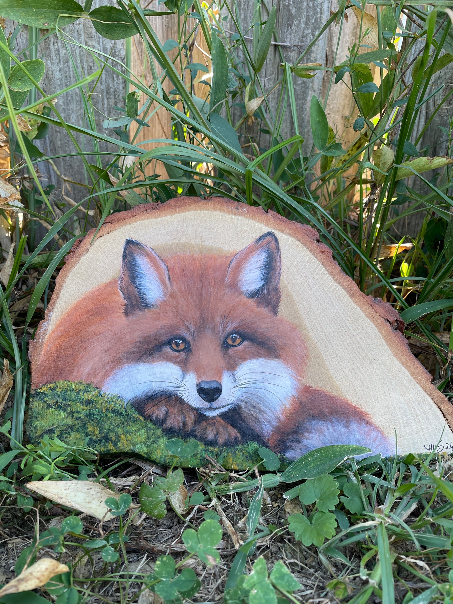 Fox Resting