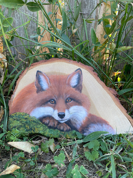 Fox Resting