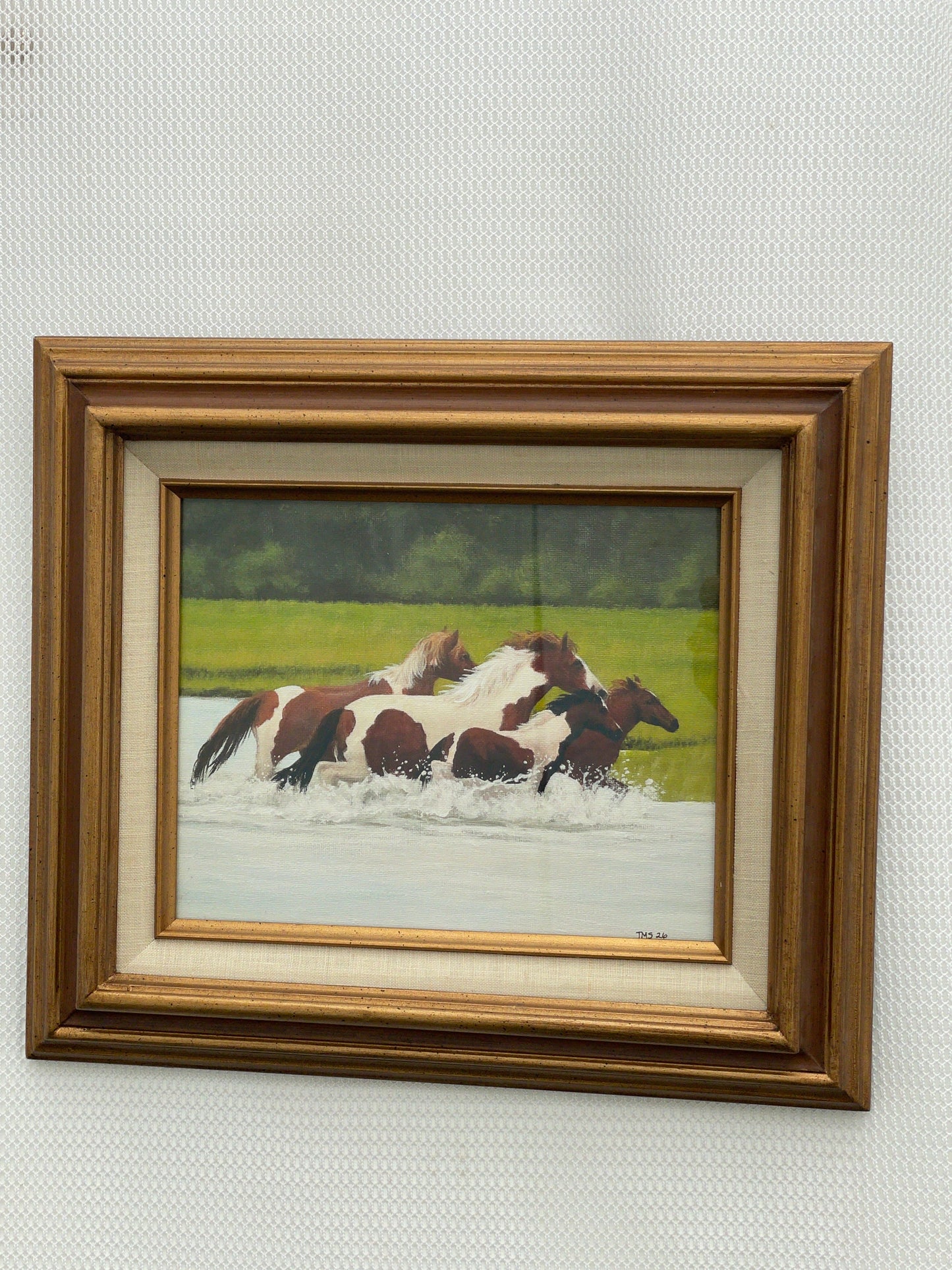 Ponies Splashing
