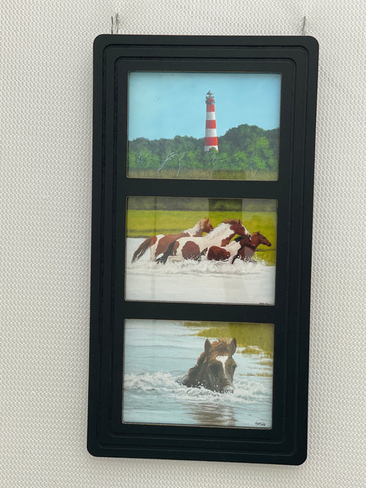 Assateague Pony Collage
