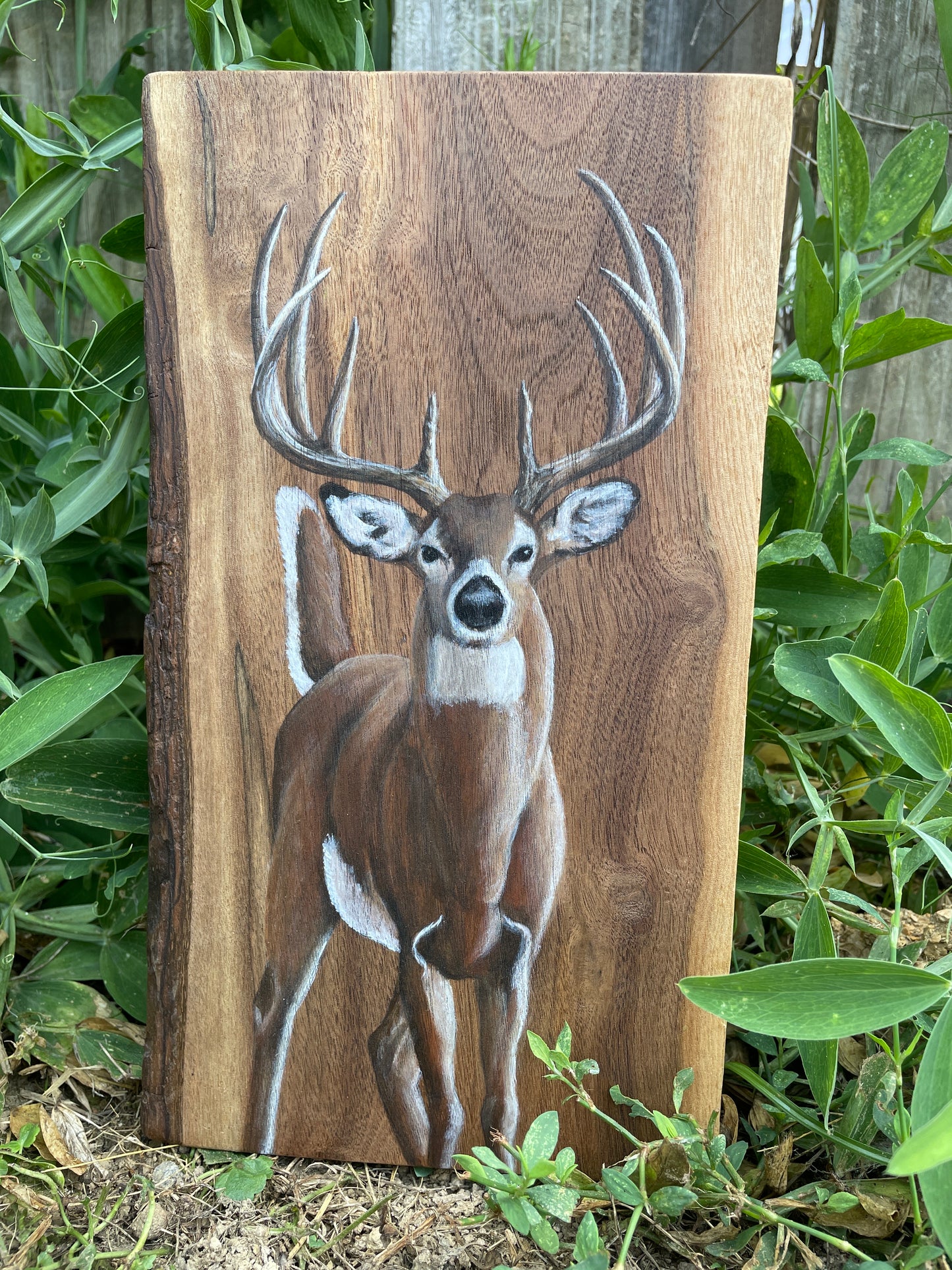 Trophy Buck