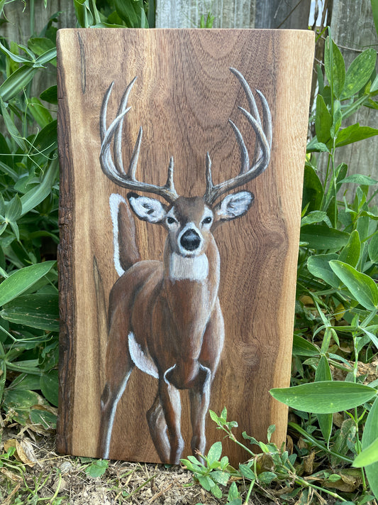 Trophy Buck