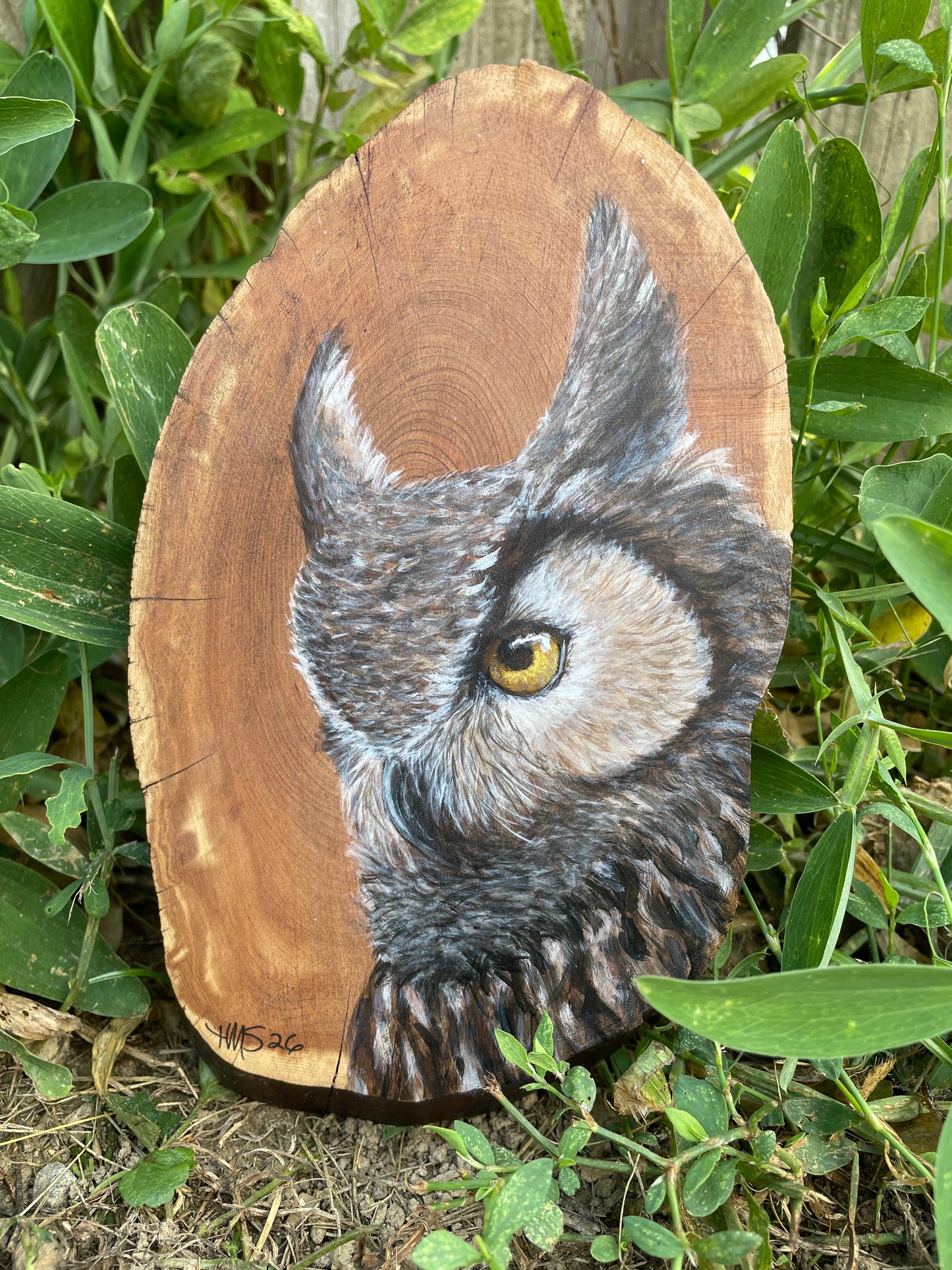 Horned Owl