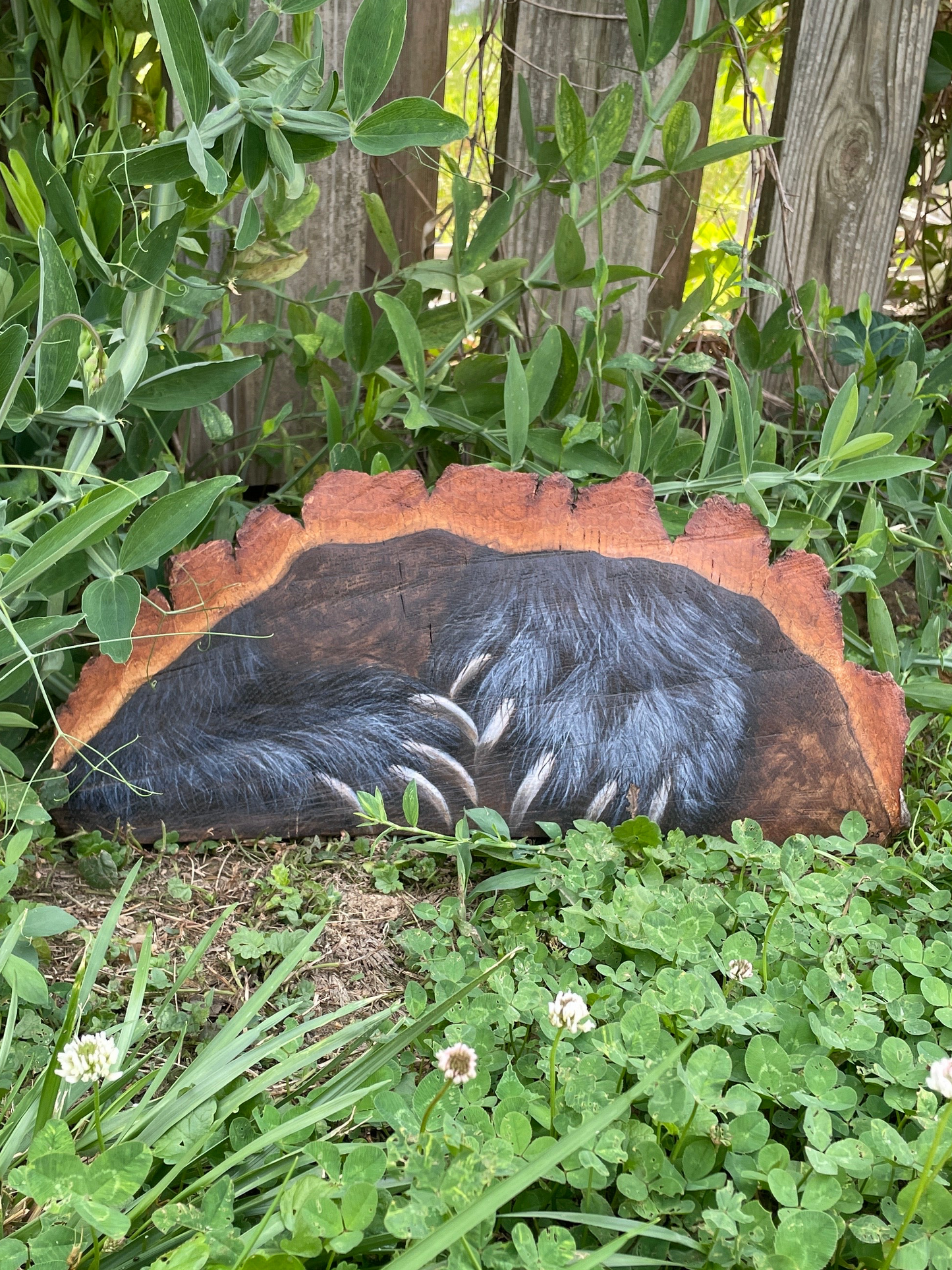 Bear Paws