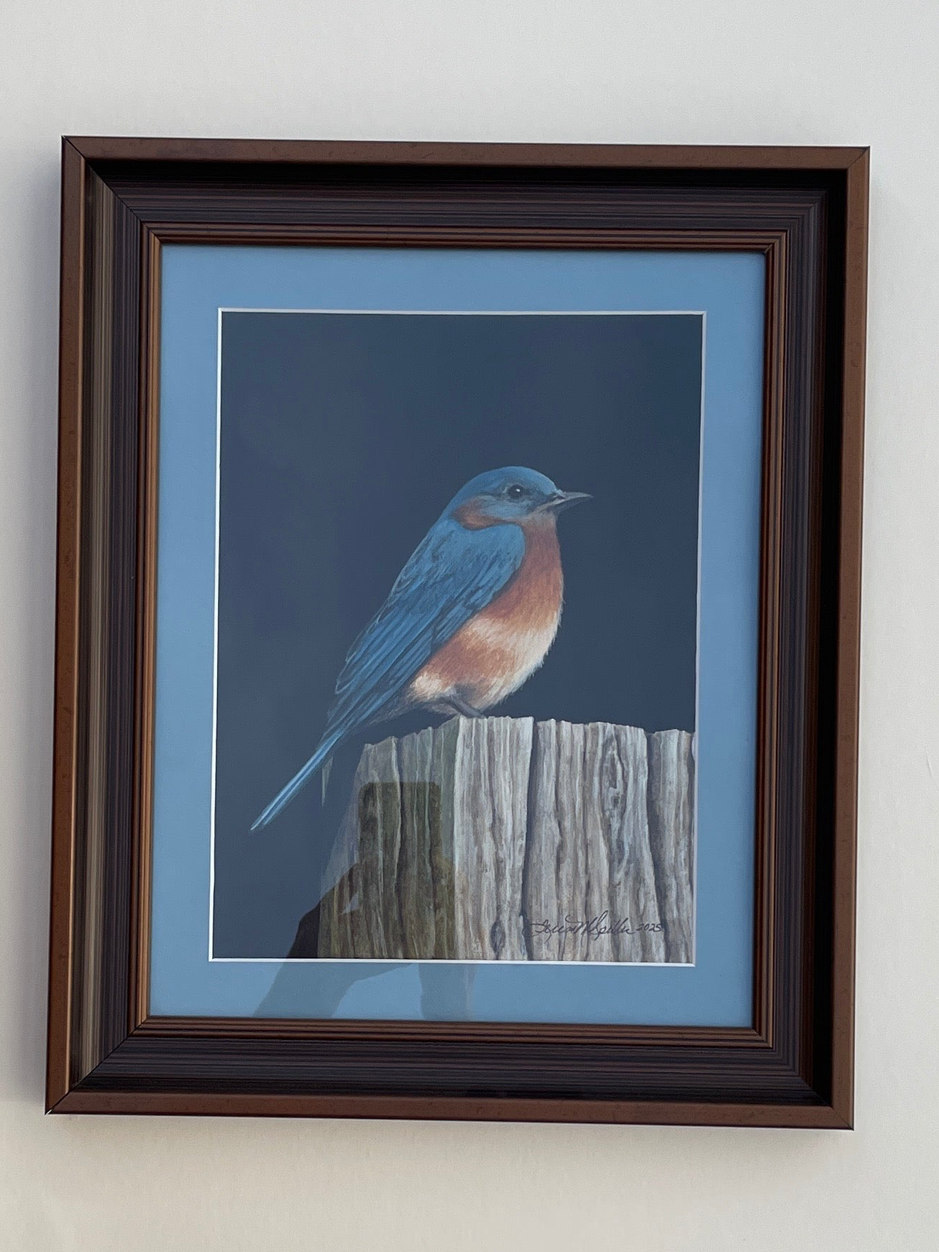 Bluebird