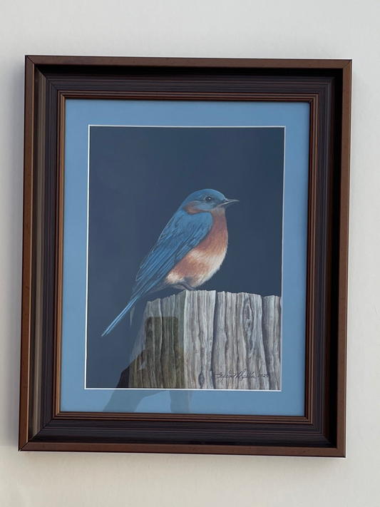 Bluebird