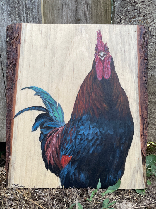 Mr Rooster
