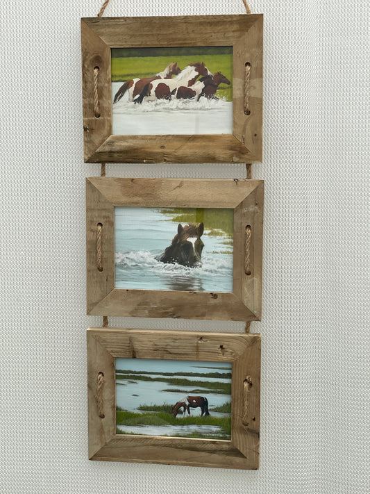 Assateague Pony Collage