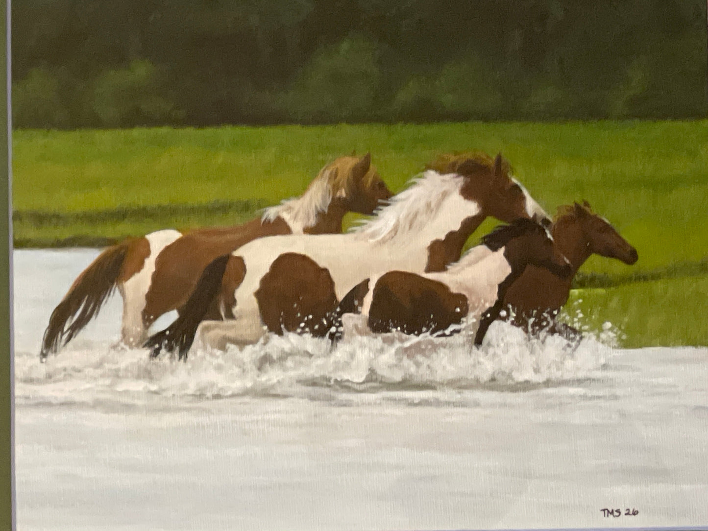 Ponies Splashing