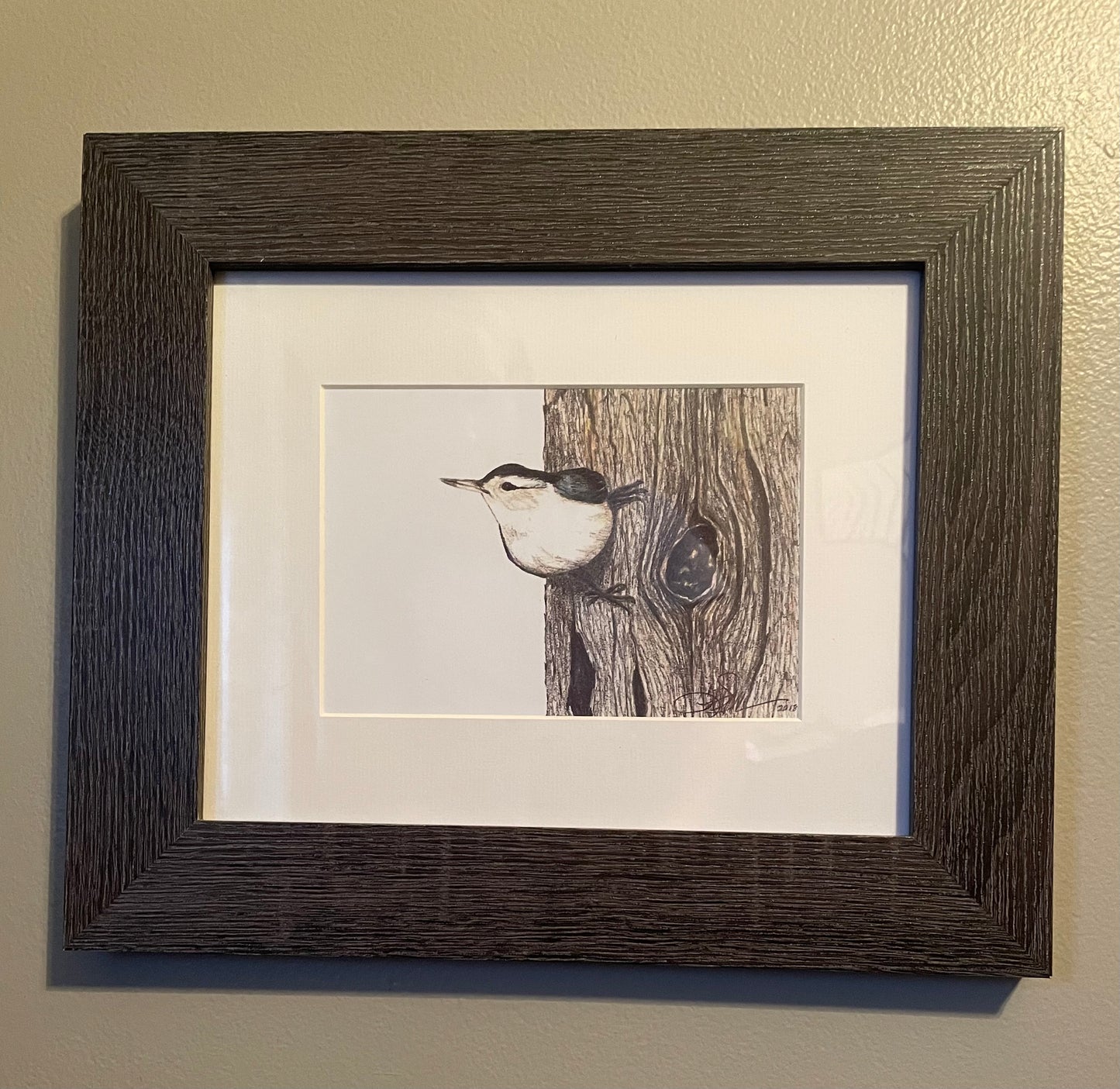 "Nuthatch" 5x7 Framed Print White Mat