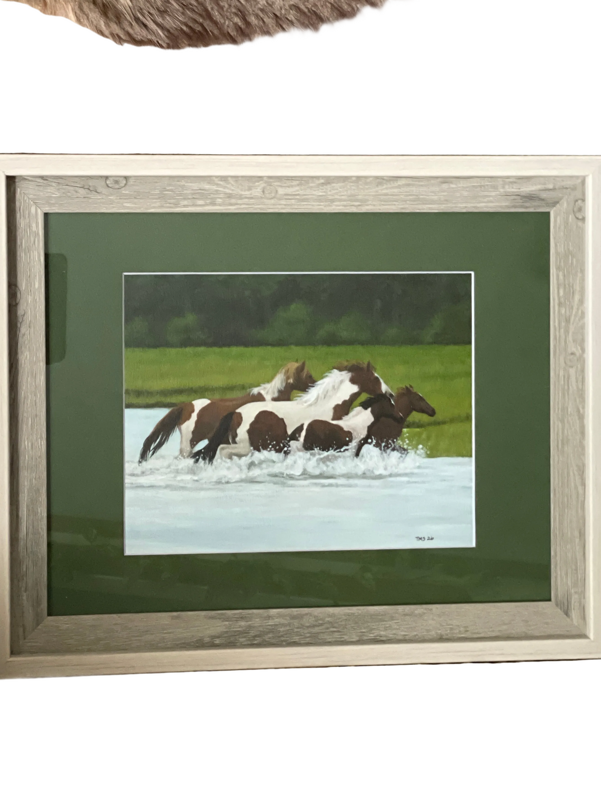 Ponies Splashing