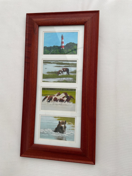 Assateague Collage