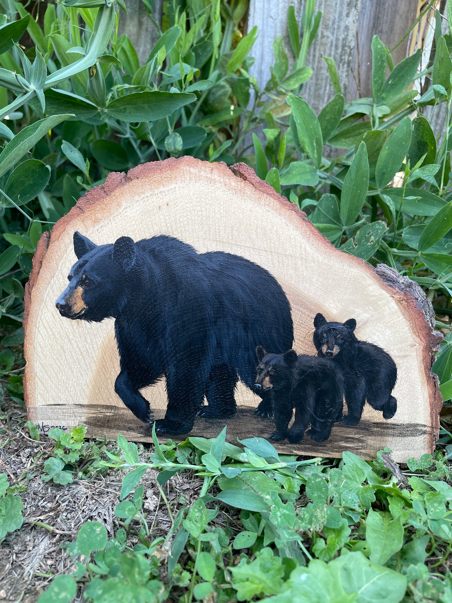 Mama and Cubs