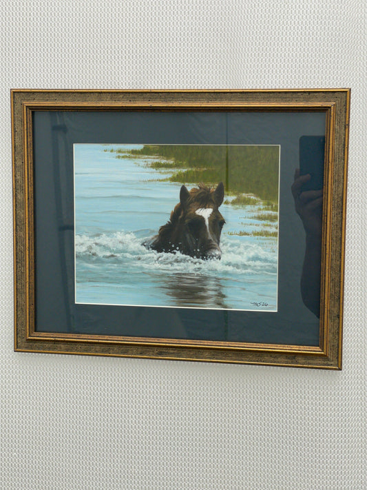Pony Swimming