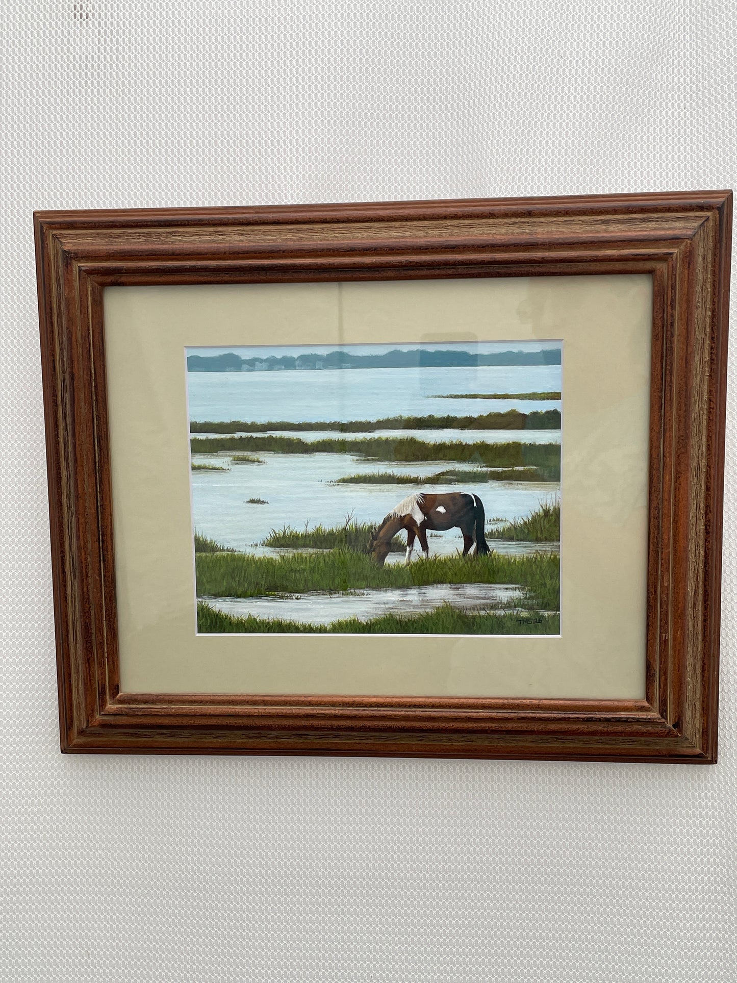 Marsh Pony