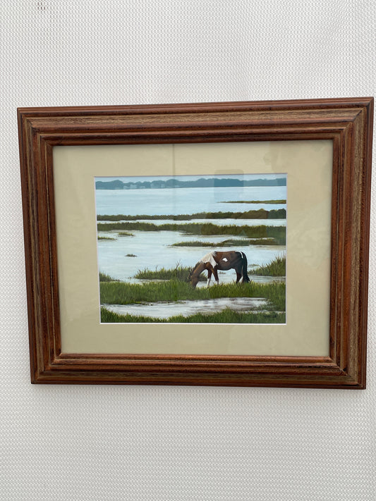 Marsh Pony