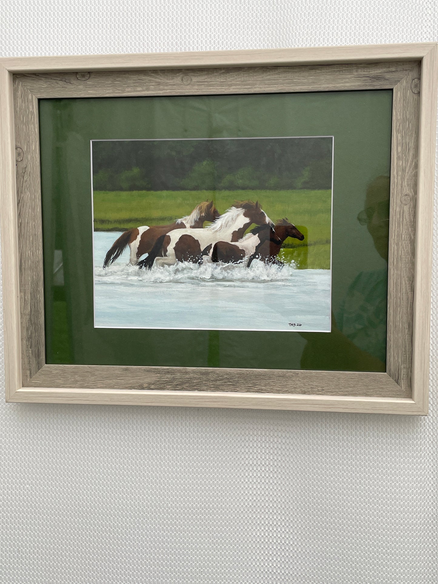 Ponies Splashing