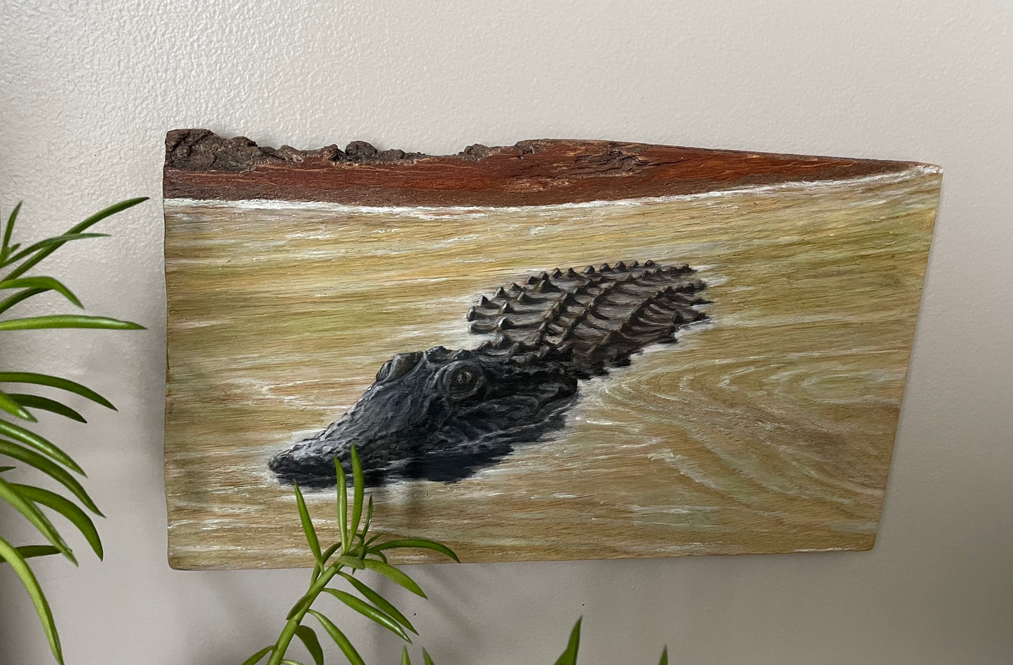Alligator "Just Floatin" Live Edge Wood