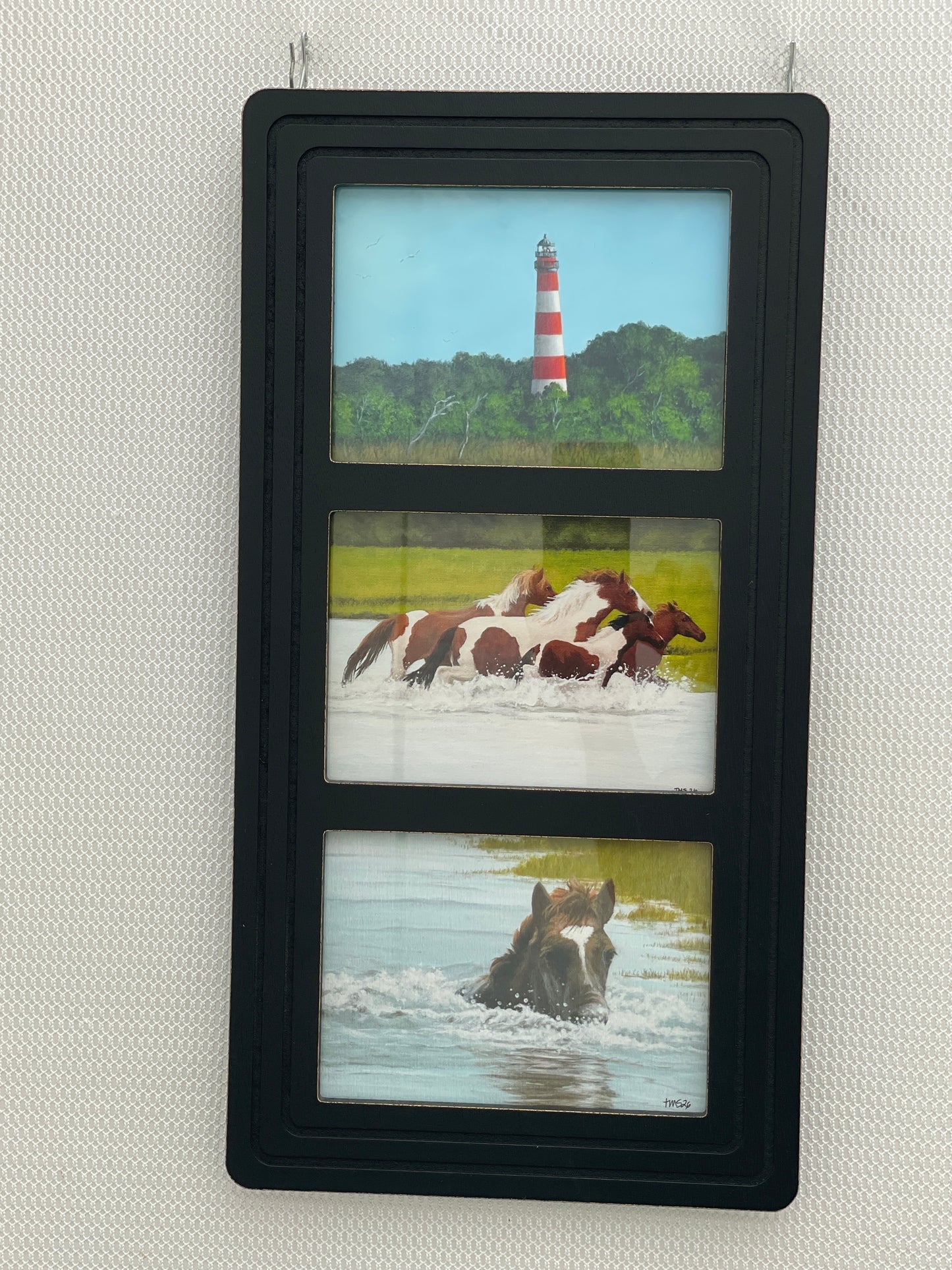Assateague Pony Collage