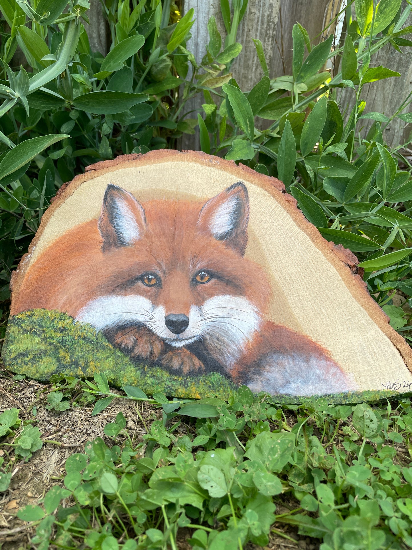 Fox Resting