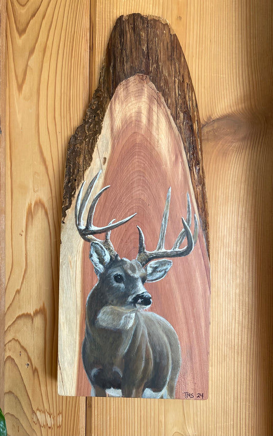 "Big Buck" Live Edge Wood