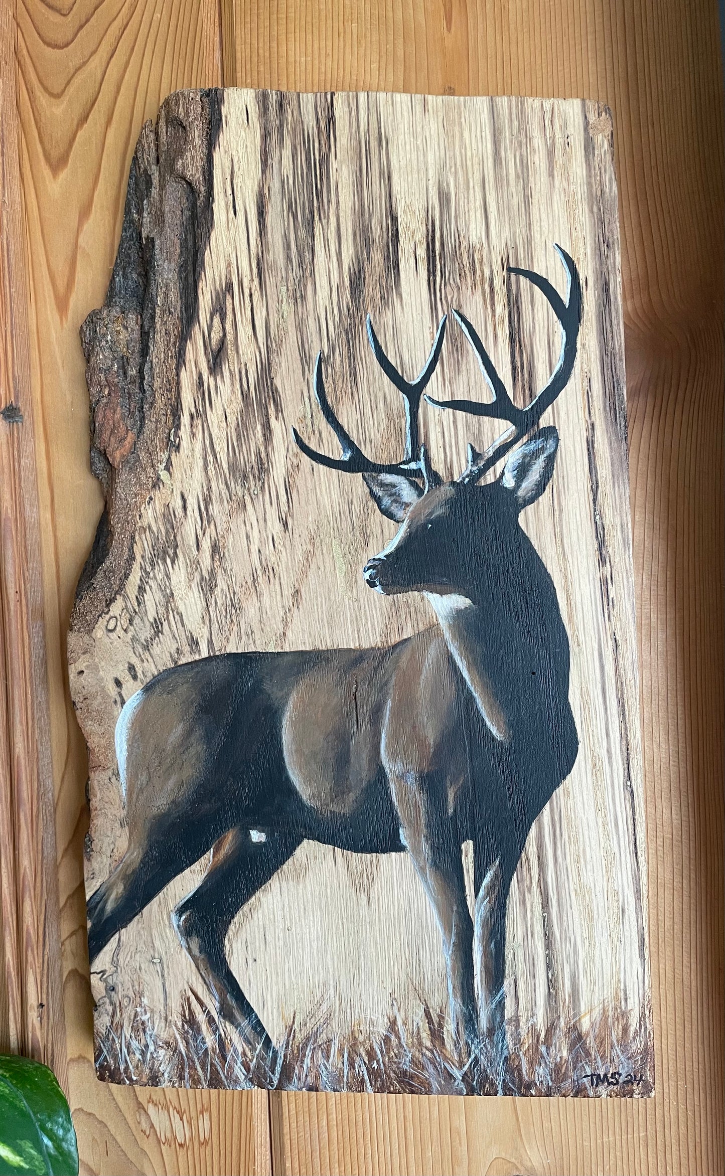 “Buck Shadow”Live Edge Wood