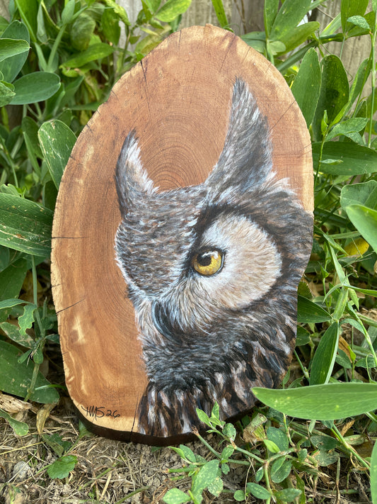Horned Owl