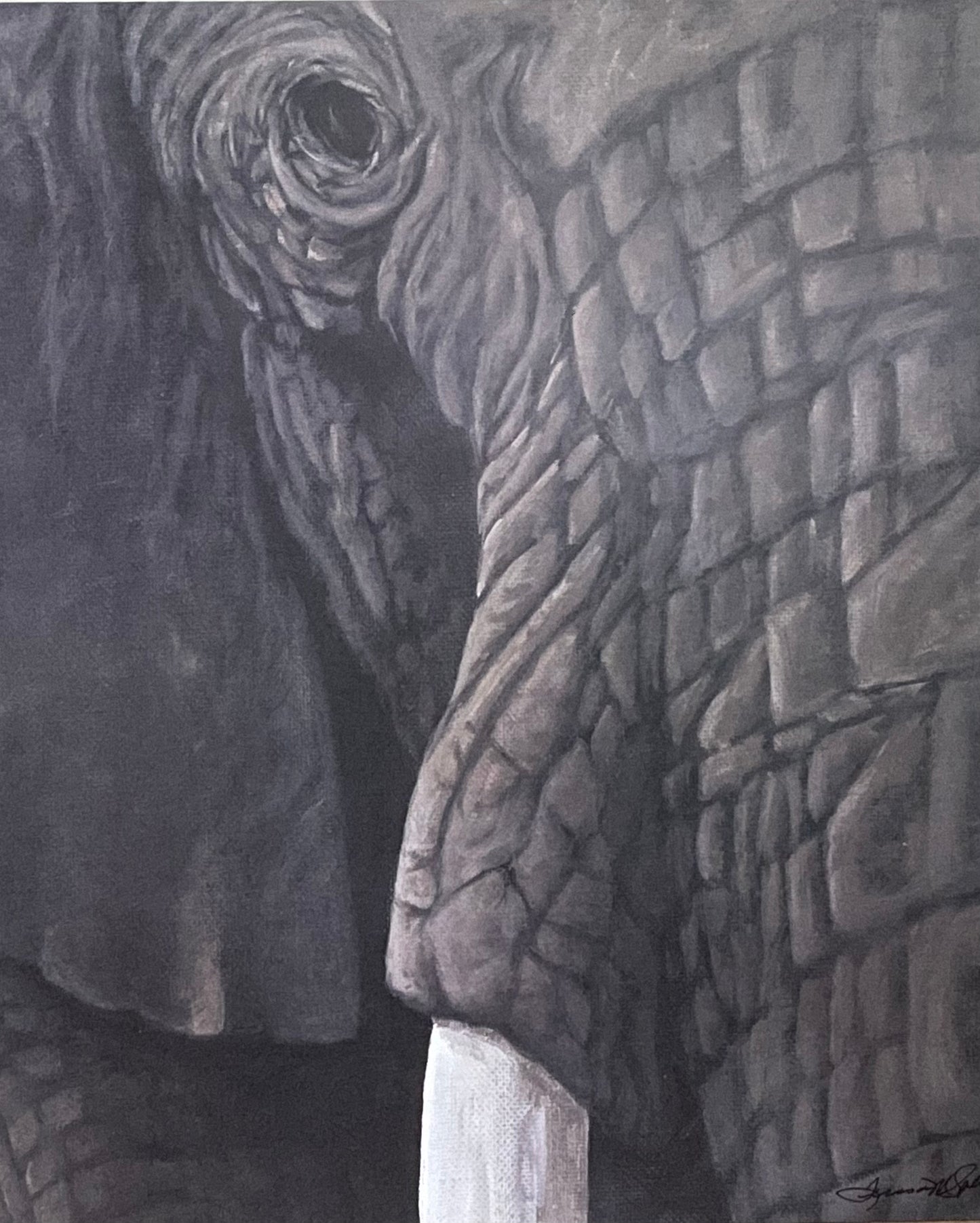 "Elephant" 8"x10" Print