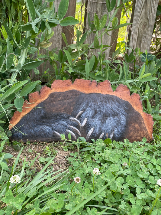 Bear Paws