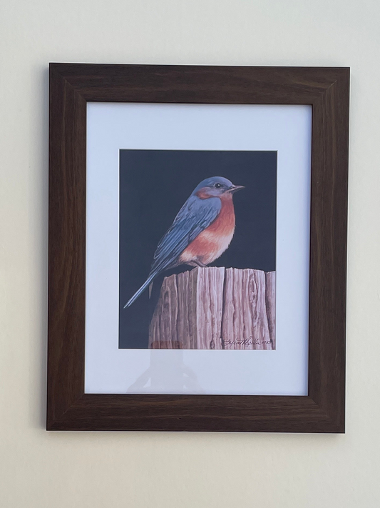 Bluebird