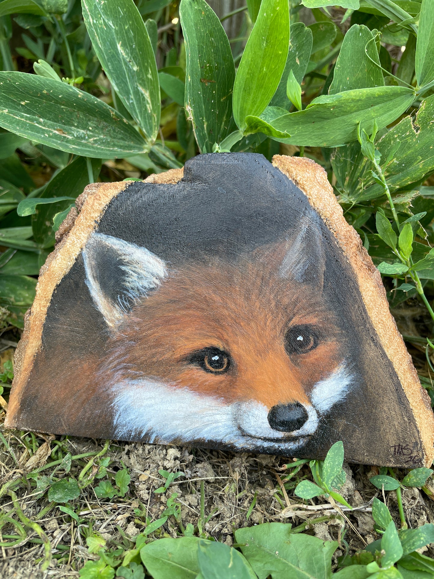 Fox