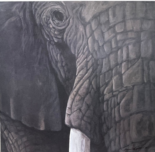 "Elephant" 12 x 12 Print