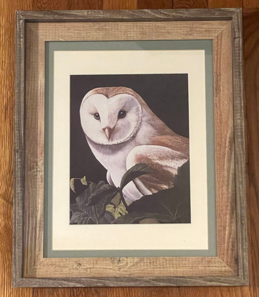 "Barn Owl" Framed Print