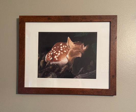 "Fawn" 8 x 10 Framed Print