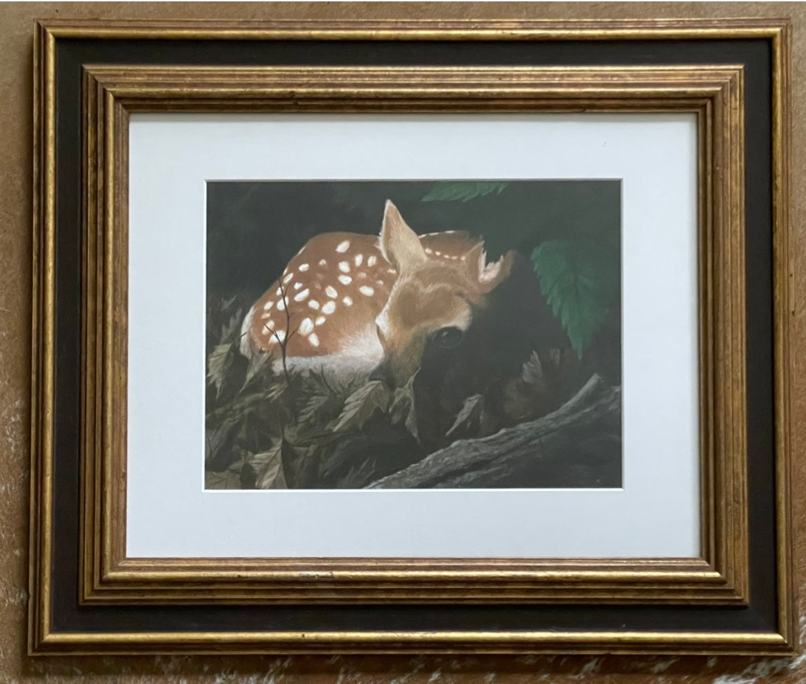 "Fawn" 9 x 12 Framed and Matted