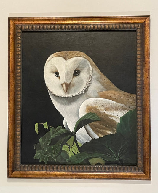 "Barn Owl" Original