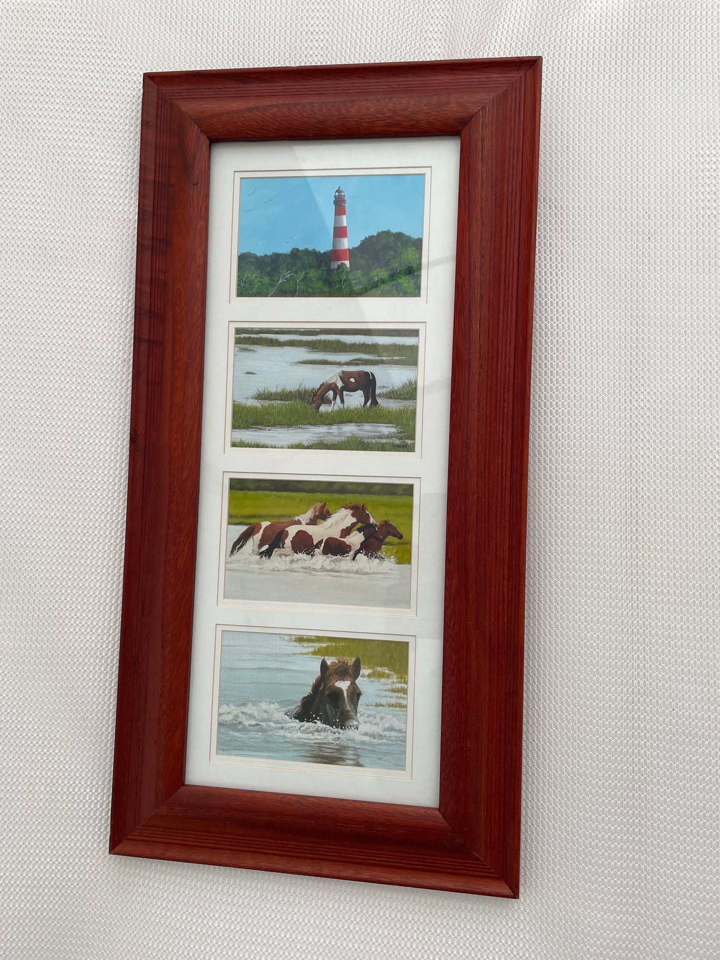 Assateague Collage
