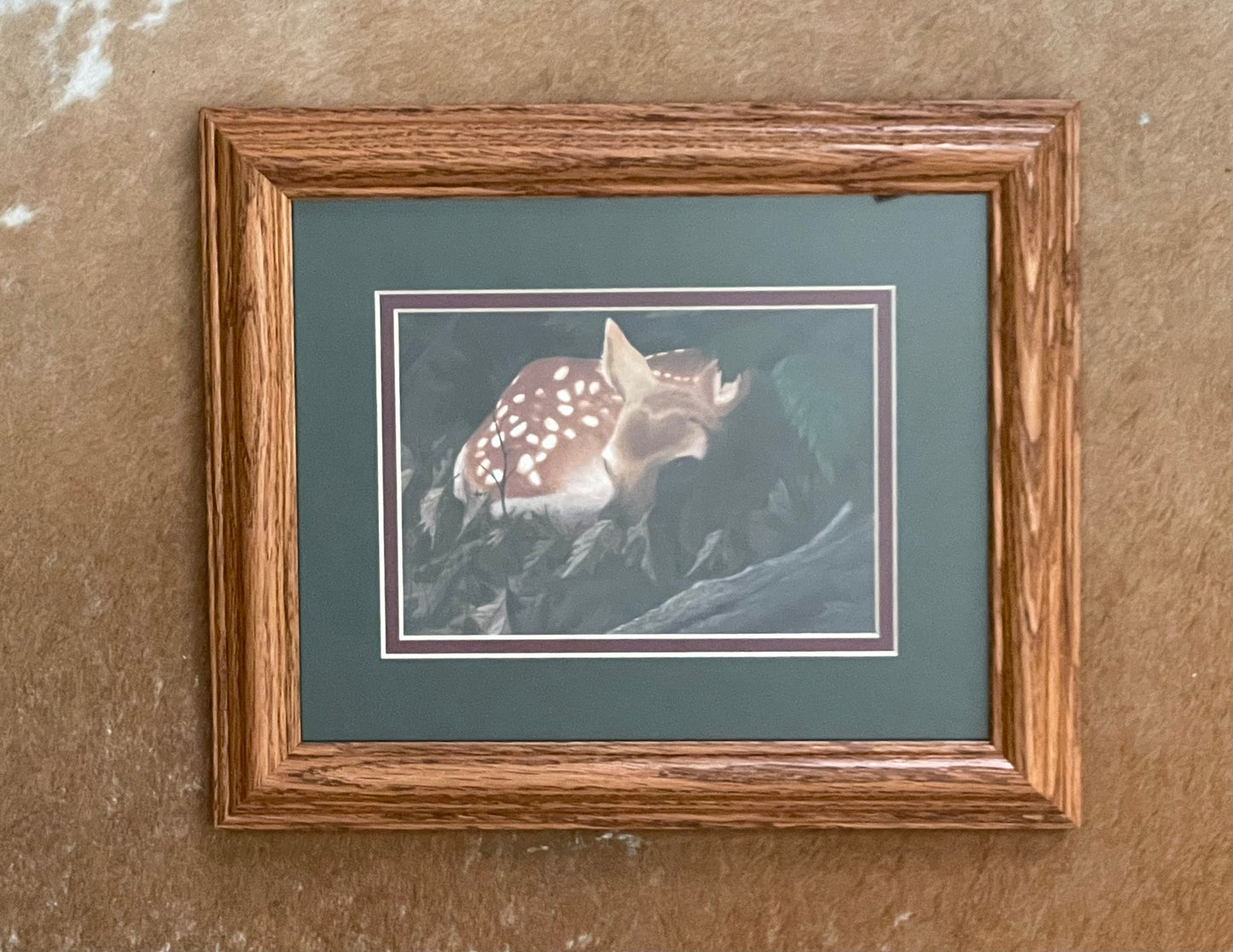 "Fawn" 5 x 7 Framed Print