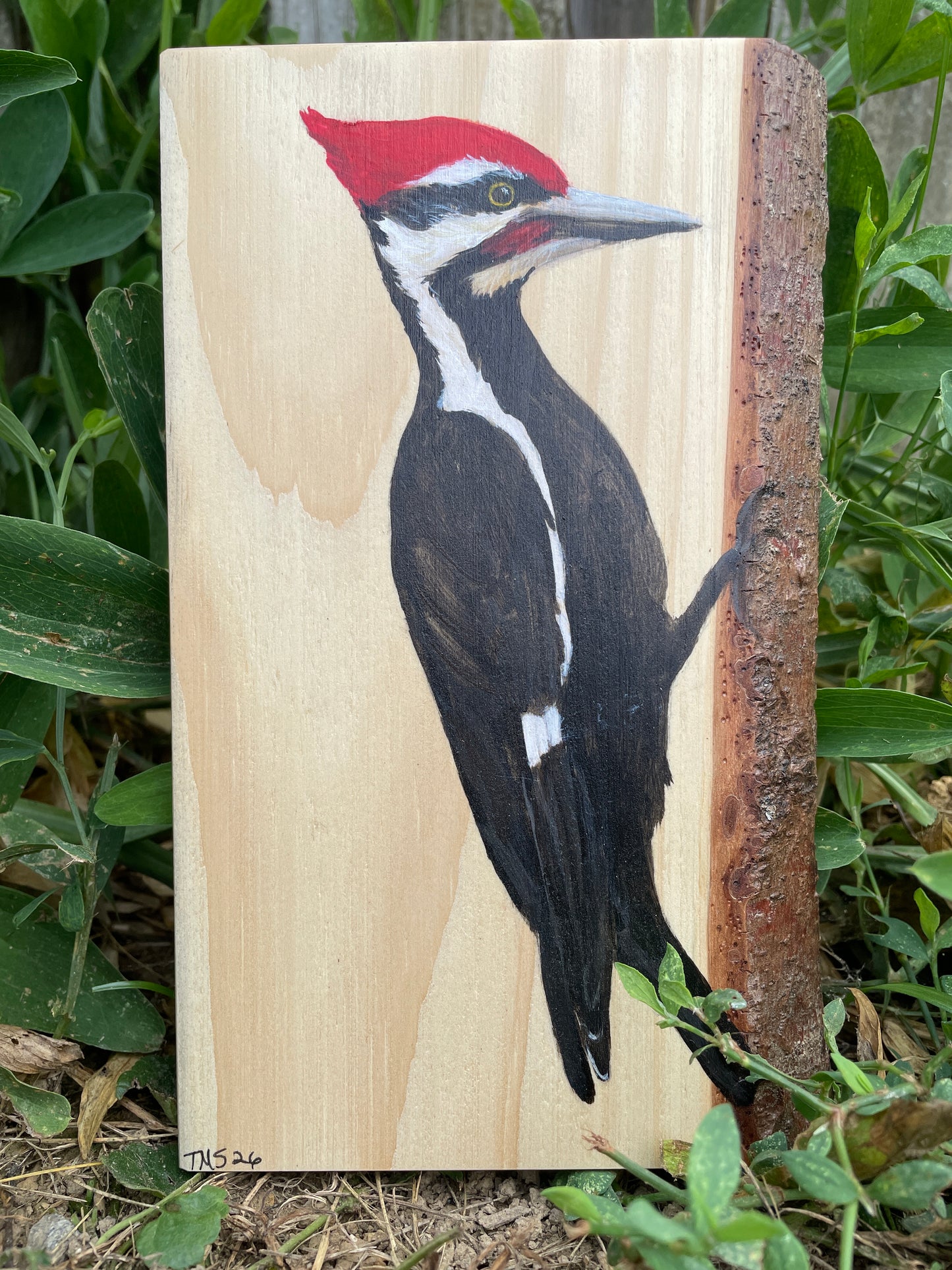 Woodie