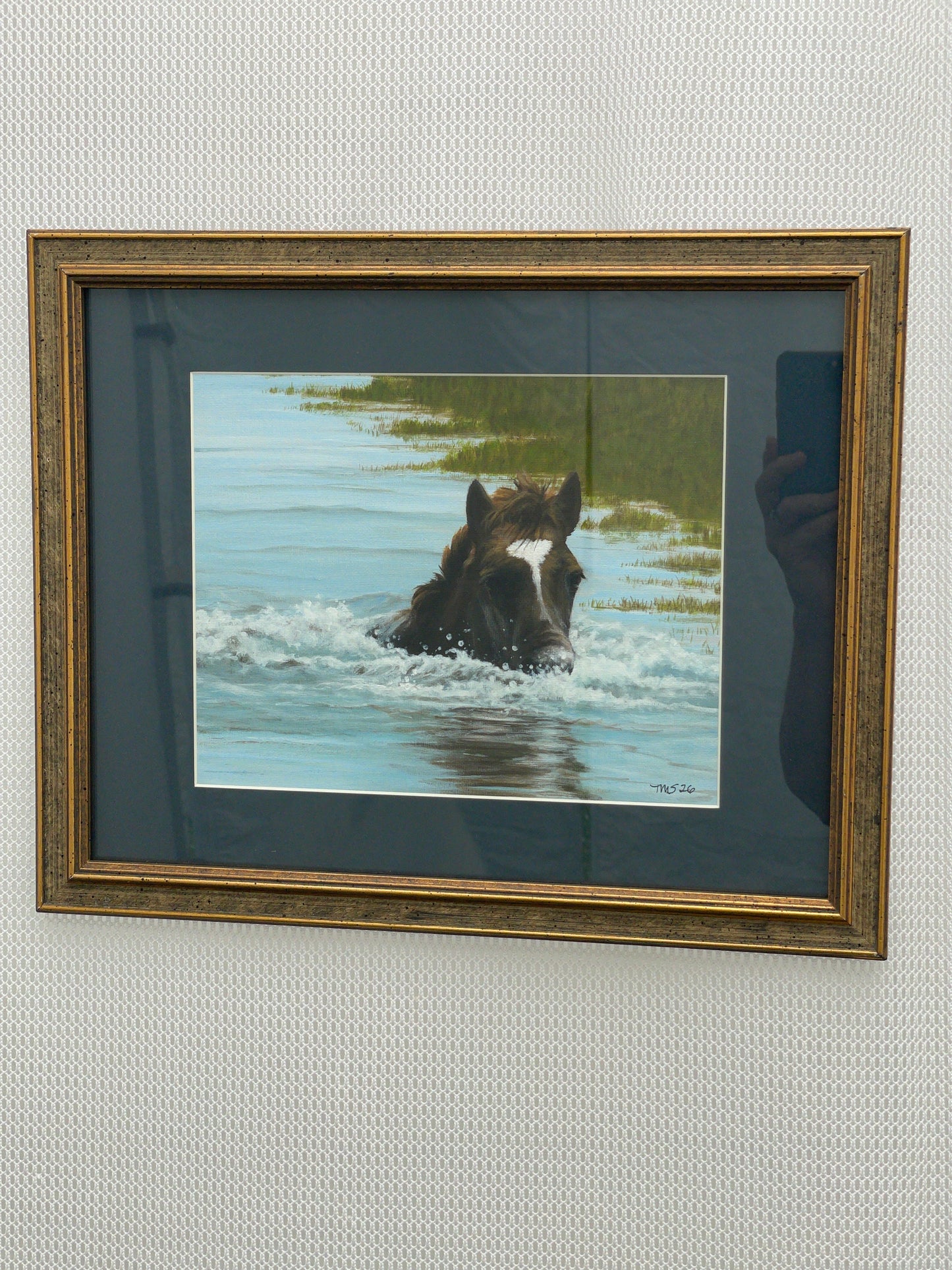 Pony Swimming