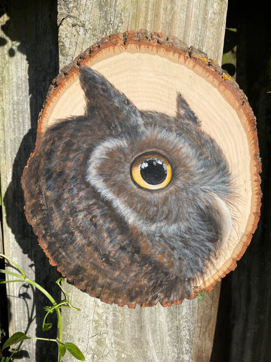 Owl