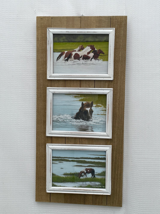 Assateague Pony Collage solid frame