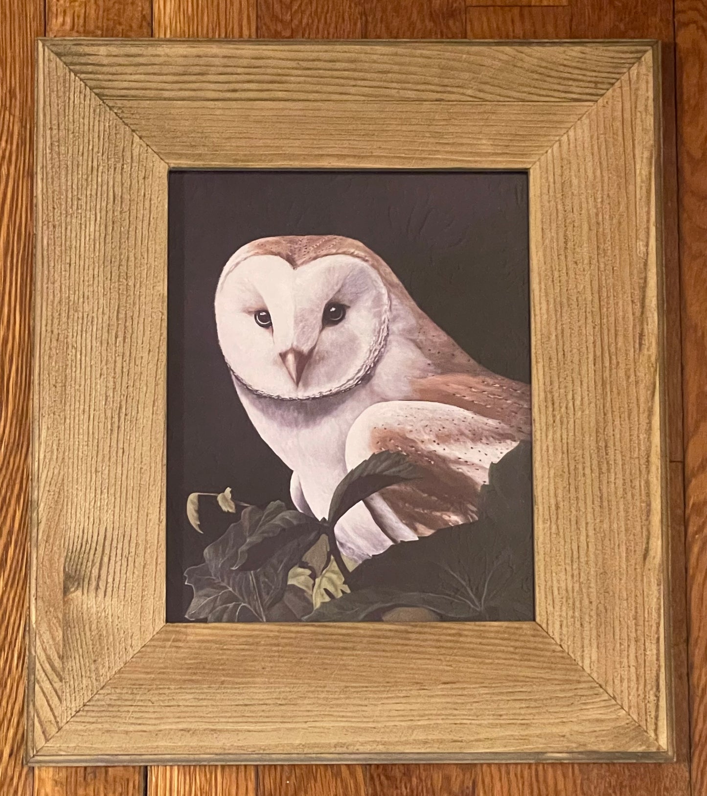 "Barn Owl" Framed Print Wide Wood Frame