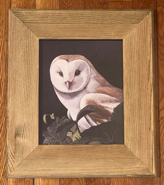 "Barn Owl" Framed Print Wide Wood Frame