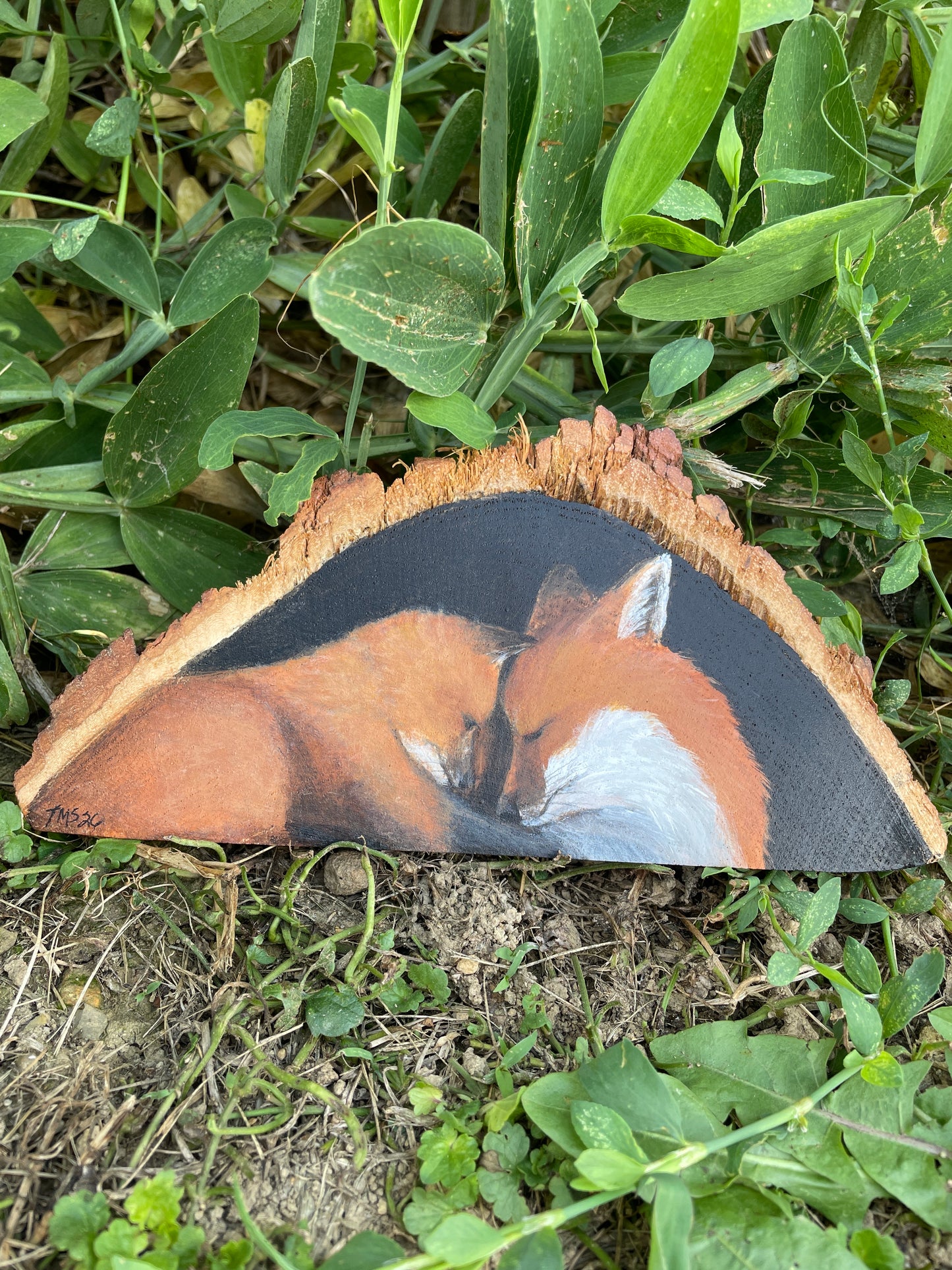 Fox Love
