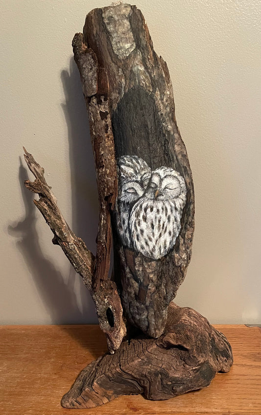 “Owls Sleeping in Hollow Tree” Live Edge Wood