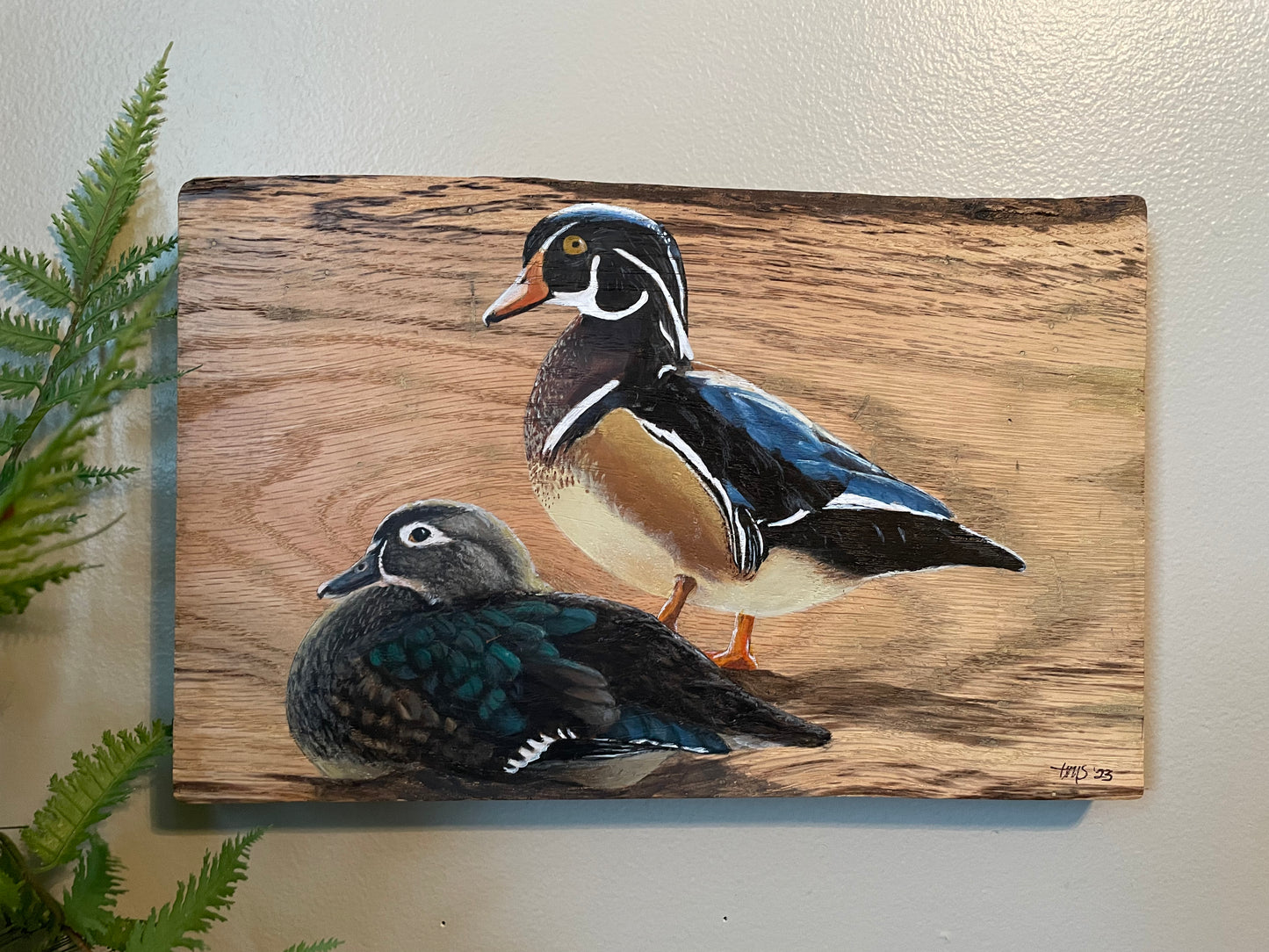 Wood Ducks "Mr and Mrs" Live Edge Wood