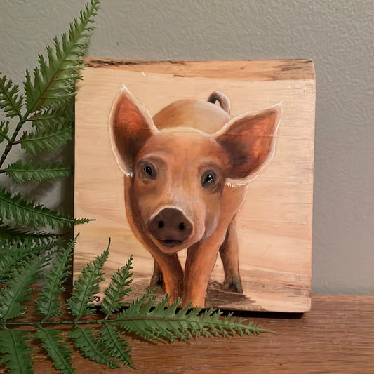 "Piggy" Live Edge Wood