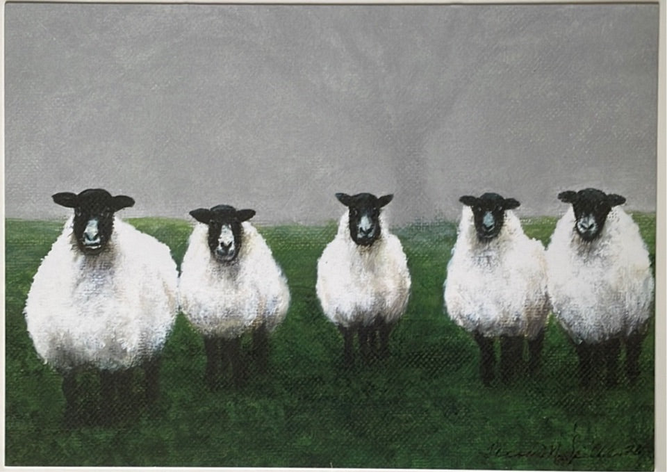 "Sheep" 5 x7 Print