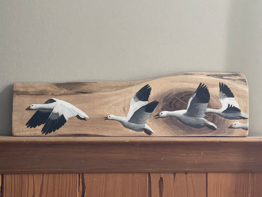 Snow Geese "Take Flight" Live Edge wood